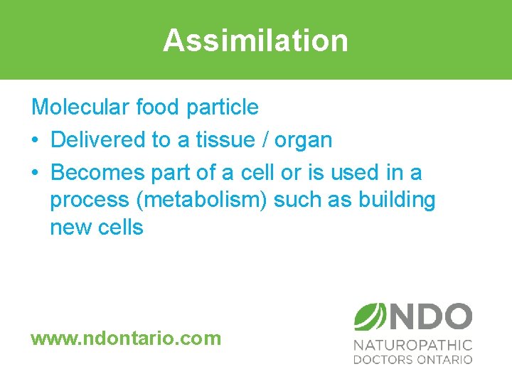 Assimilation Molecular food particle • Delivered to a tissue / organ • Becomes part