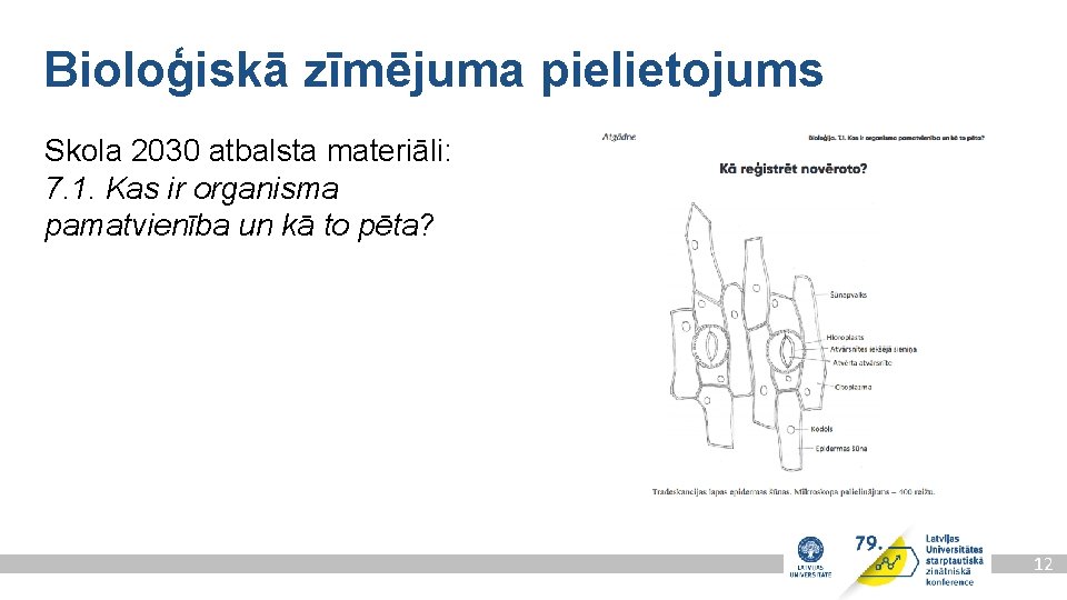 Bioloģiskā zīmējuma pielietojums Skola 2030 atbalsta materiāli: 7. 1. Kas ir organisma pamatvienība un