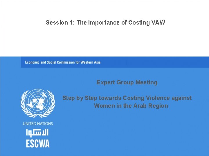 Session 1: The Importance of Costing VAW Expert Group Meeting Step by Step towards