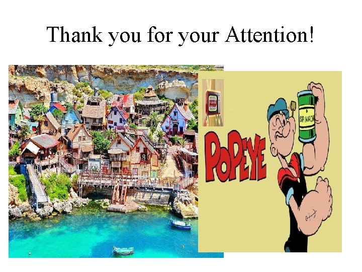 Thank you for your Attention! 