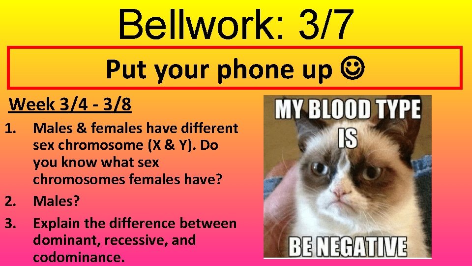 Bellwork: 3/7 Put your phone up Week 3/4 - 3/8 1. 2. 3. Males