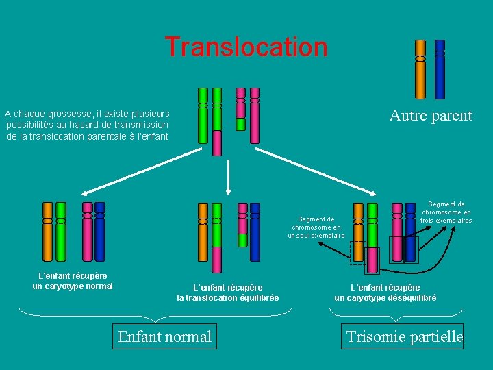 Translocation Autre parent A chaque grossesse, il existe plusieurs possibilités au hasard de transmission