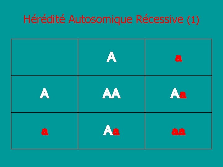 Hérédité Autosomique Récessive (1) A a A AA Aa aa 