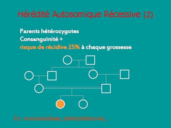 Hérédité Autosomique Récessive (2) Parents hétérozygotes Consanguinité + risque de récidive 25% à chaque