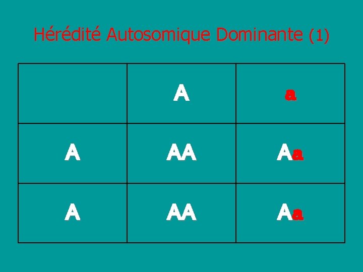 Hérédité Autosomique Dominante (1) A a A AA Aa 