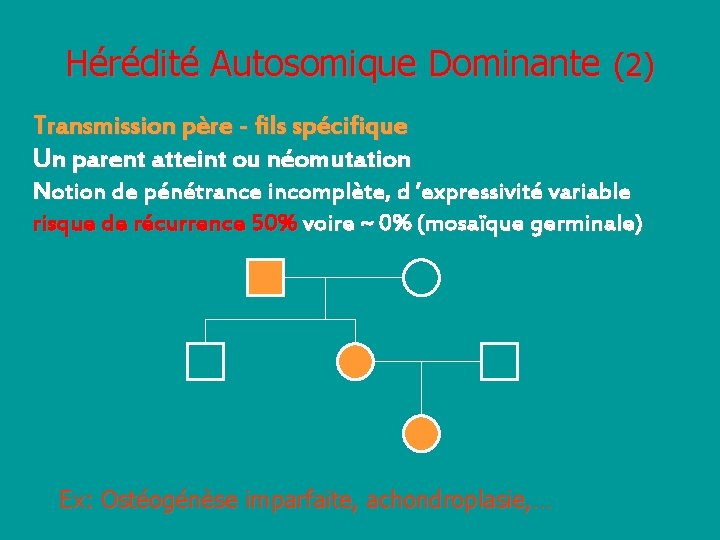 Hérédité Autosomique Dominante (2) Transmission père - fils spécifique Un parent atteint ou néomutation