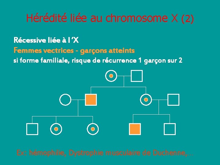 Hérédité liée au chromosome X (2) Récessive liée à l ’X Femmes vectrices -