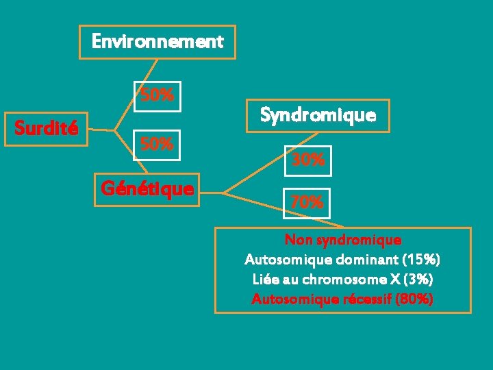 Environnement 50% Surdité 50% Génétique Syndromique 30% 70% Non syndromique Autosomique dominant (15%) Liée