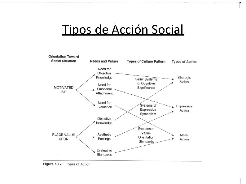 Tipos de Acción Social Tipos de Acción Social