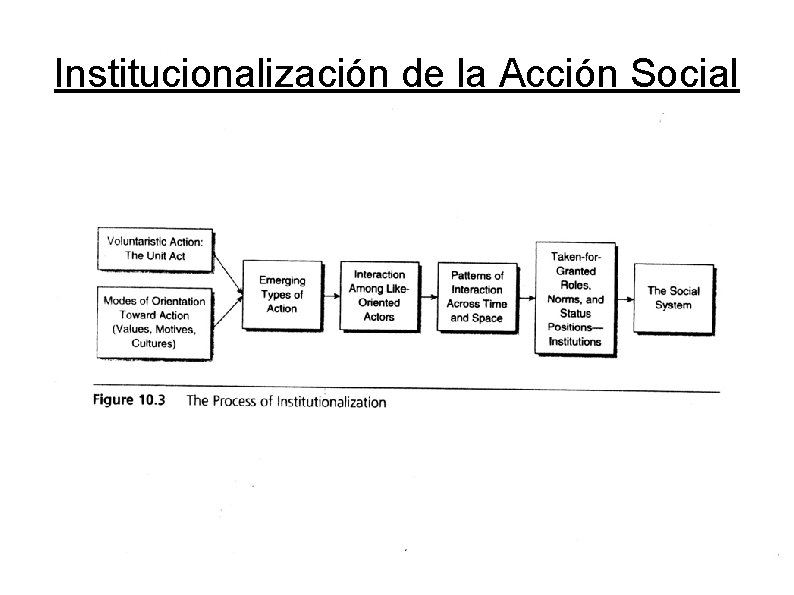 Institucionalización de la Acción Social Institucionalización de la Acción Social