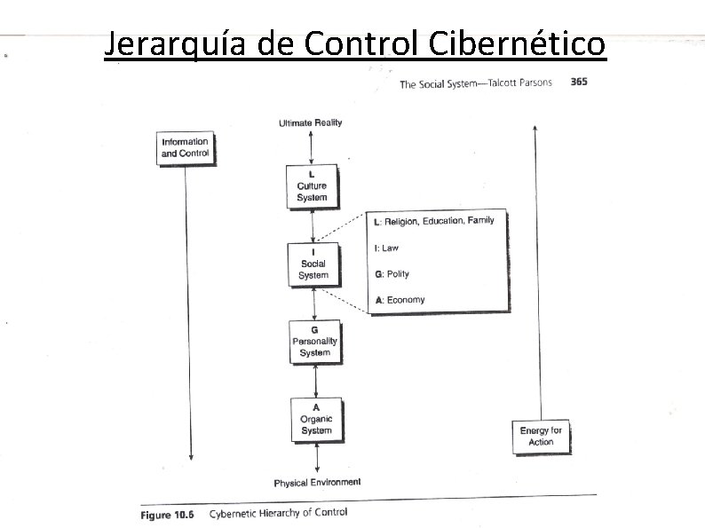 Jerarquía de Control Cibernético Jerarquía de Control Cibernético