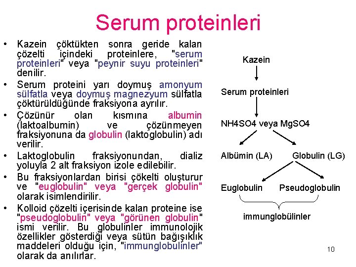 Serum proteinleri • Kazein çöktükten sonra geride kalan çözelti içindeki proteinlere, "serum proteinleri" veya