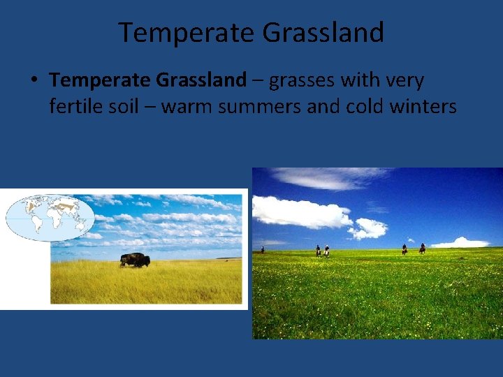 Temperate Grassland • Temperate Grassland – grasses with very fertile soil – warm summers