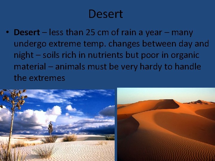 Desert • Desert – less than 25 cm of rain a year – many