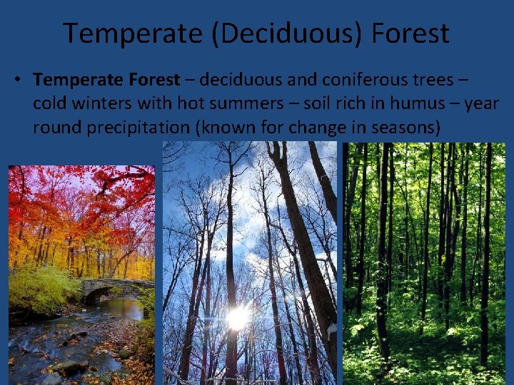 Temperate (Deciduous) Forest • Temperate Forest – deciduous and coniferous trees – cold winters