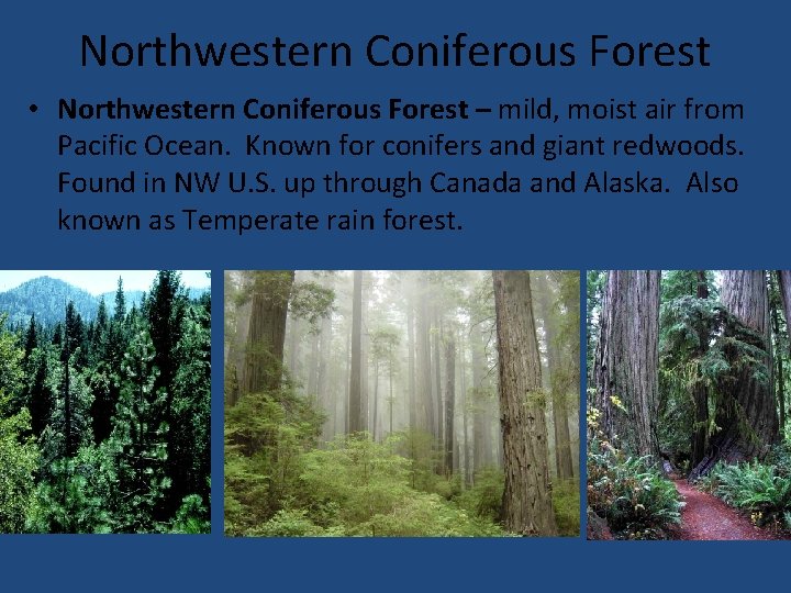 Northwestern Coniferous Forest • Northwestern Coniferous Forest – mild, moist air from Pacific Ocean.