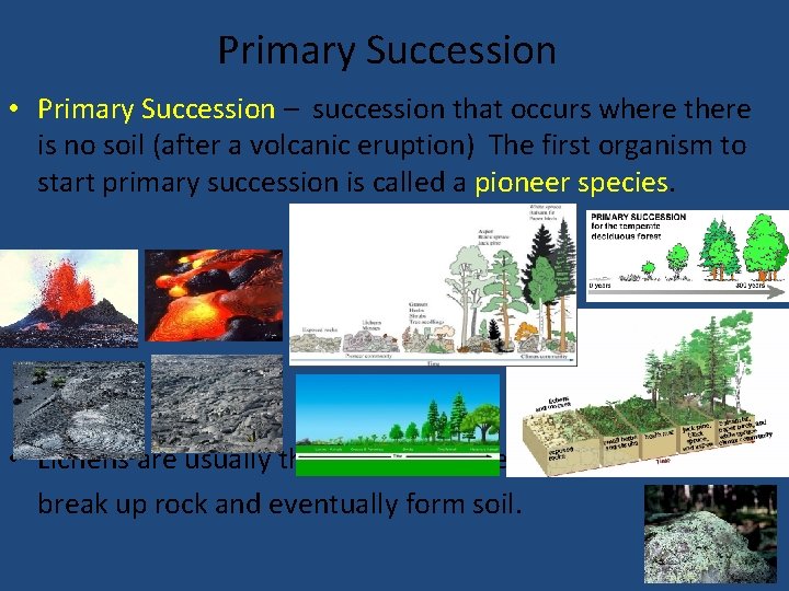 Primary Succession • Primary Succession – succession that occurs where there is no soil