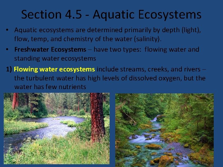 Section 4. 5 - Aquatic Ecosystems • Aquatic ecosystems are determined primarily by depth