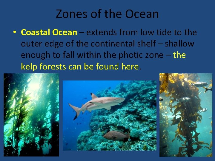 Zones of the Ocean • Coastal Ocean – extends from low tide to the