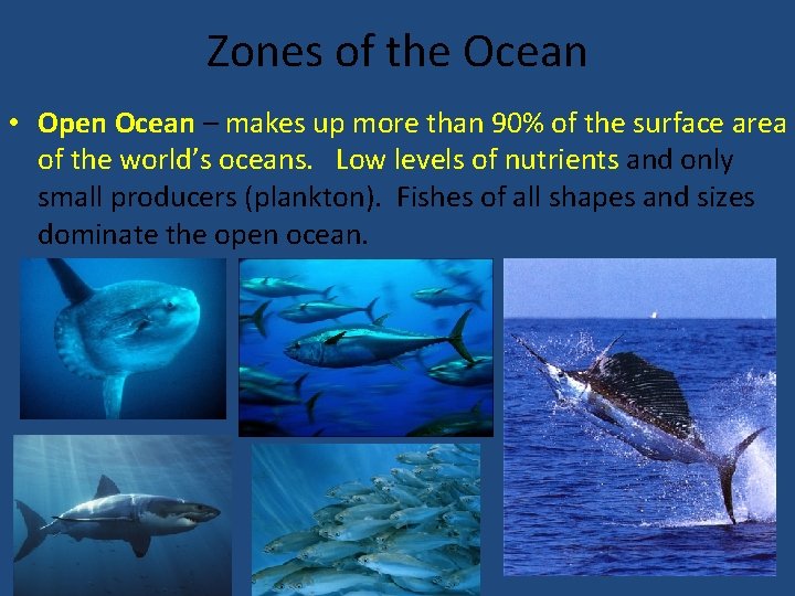 Zones of the Ocean • Open Ocean – makes up more than 90% of