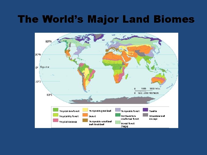 The World’s Major Land Biomes Tropical rain forest Temperate grassland Temperate forest Tundra Tropical