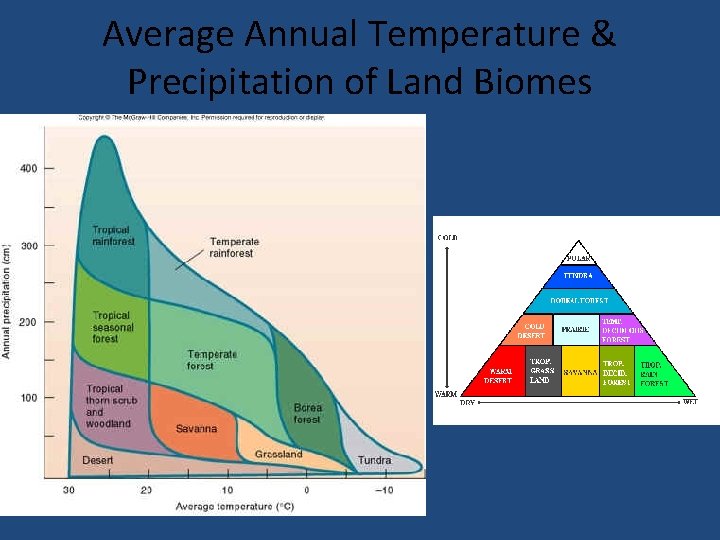 Average Annual Temperature & Precipitation of Land Biomes 