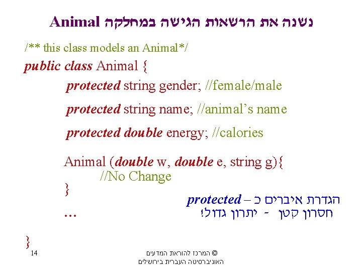 Animal נשנה את הרשאות הגישה במחלקה /** this class models an Animal*/ public class