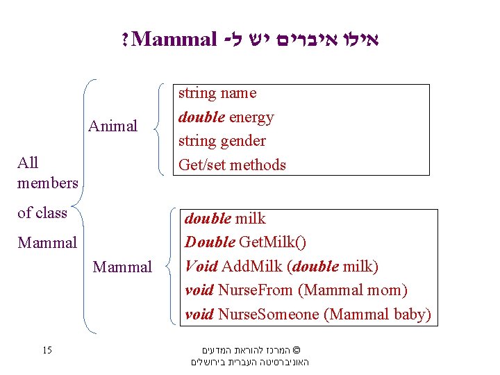 ? Mammal - אילו איברים יש ל Animal All members of class Mammal 15