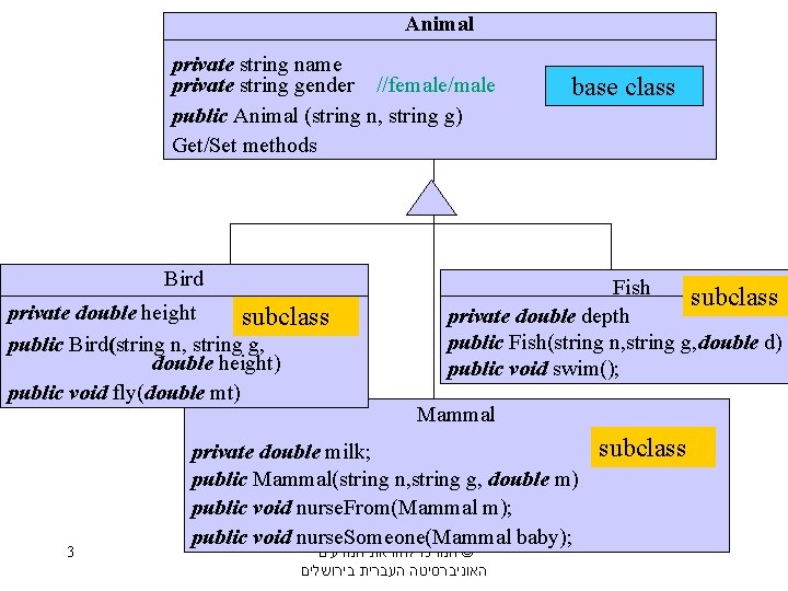 Animal private string name private string gender //female/male public Animal (string n, string g)
