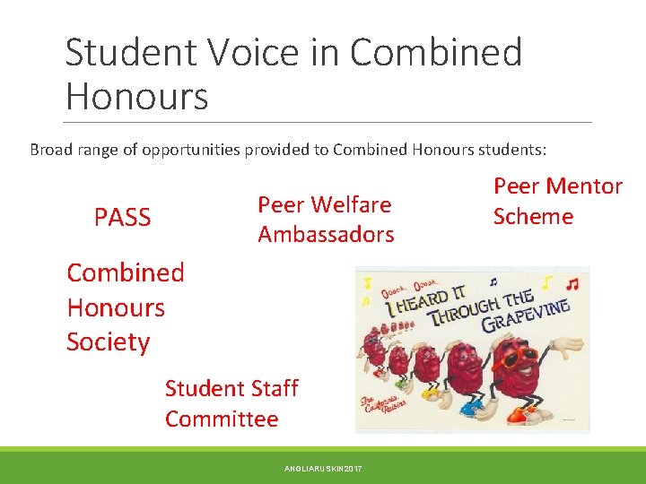Student Voice in Combined Honours Broad range of opportunities provided to Combined Honours students:
