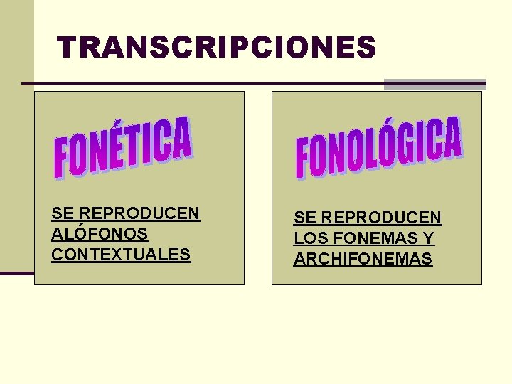 TRANSCRIPCIONES SE REPRODUCEN ALÓFONOS CONTEXTUALES SE REPRODUCEN LOS FONEMAS Y ARCHIFONEMAS 