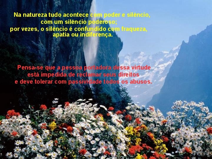 Na natureza tudo acontece com poder e silêncio, com um silêncio poderoso; por vezes,