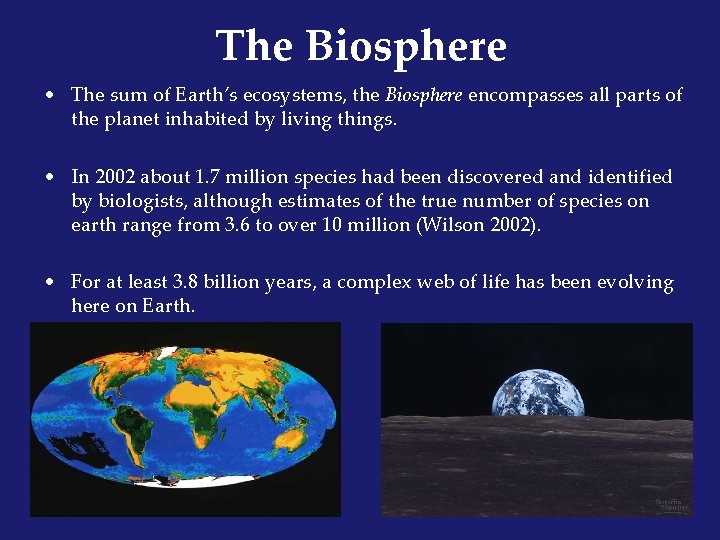 Biodiversity Life on Earth and How Were Losing