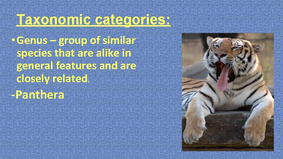 Taxonomic categories: • Genus – group of similar species that are alike in general