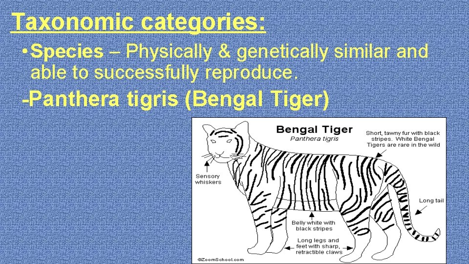 Taxonomic categories: • Species – Physically & genetically similar and able to successfully reproduce.