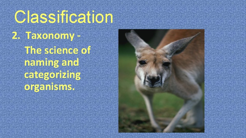 Classification 2. Taxonomy The science of naming and categorizing organisms. 
