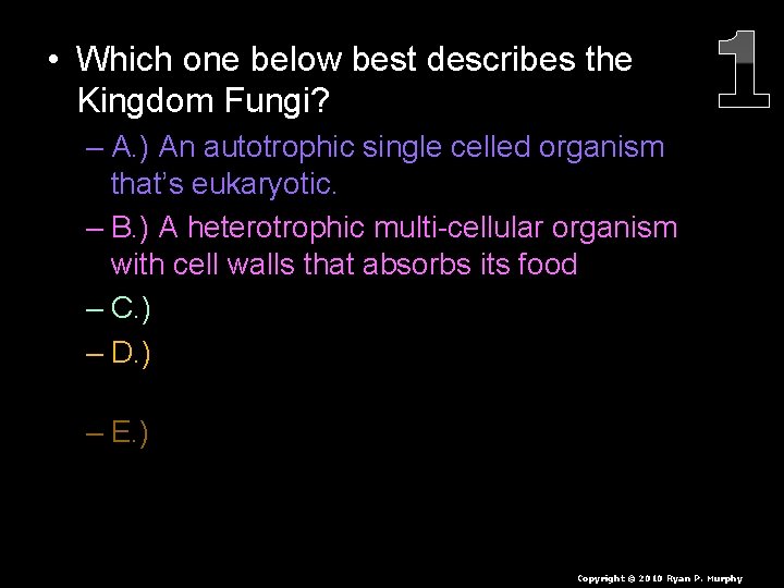  • Which one below best describes the Kingdom Fungi? – A. ) An