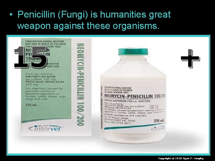  • Penicillin (Fungi) is humanities great weapon against these organisms. 15 + Copyright