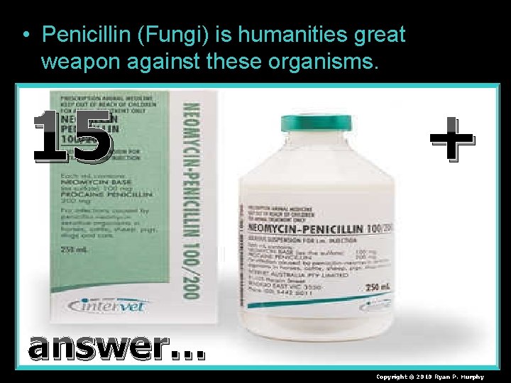  • Penicillin (Fungi) is humanities great weapon against these organisms. 15 + answer…