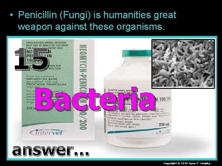  • Penicillin (Fungi) is humanities great weapon against these organisms. 15 + Bacteria