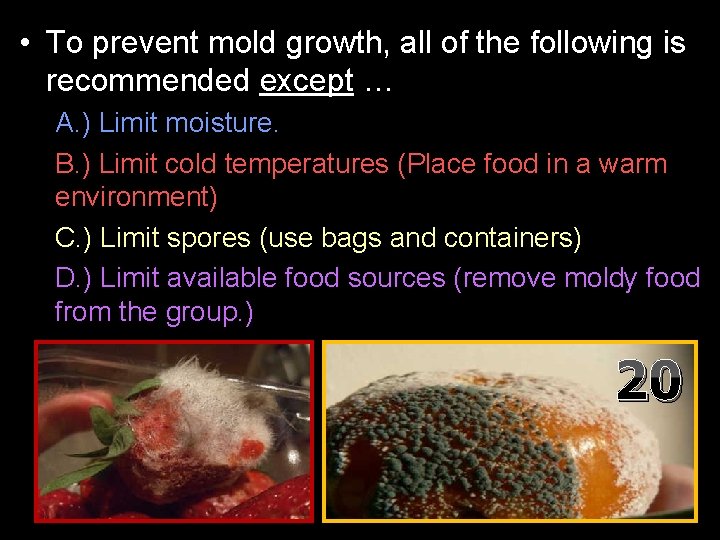  • To prevent mold growth, all of the following is recommended except …