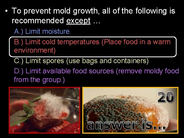  • To prevent mold growth, all of the following is recommended except …