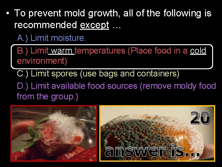  • To prevent mold growth, all of the following is recommended except …