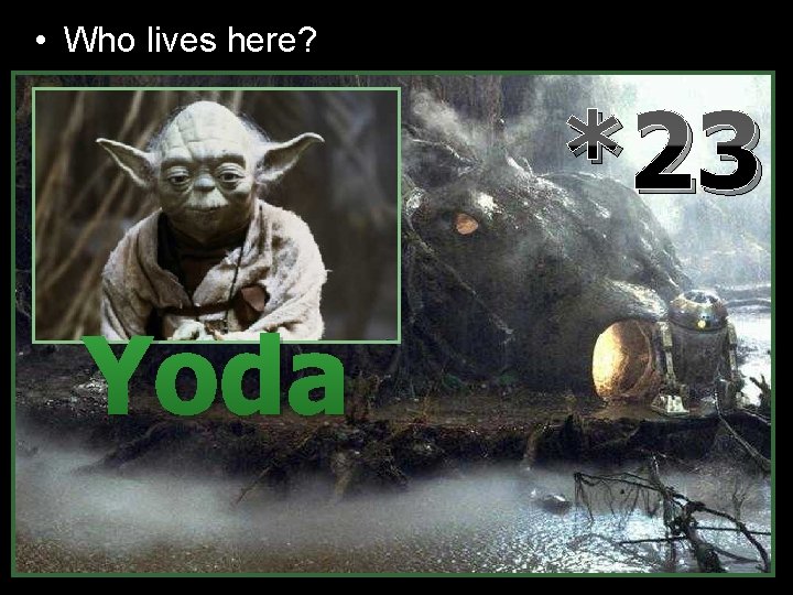  • Who lives here? *23 Yoda 