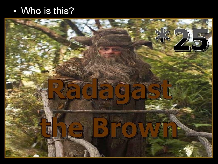  • Who is this? *25 Radagast the Brown 