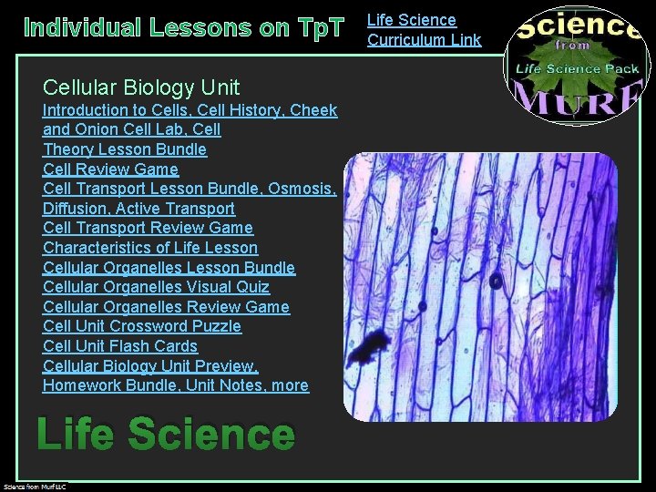 Individual Lessons on Tp. T Cellular Biology Unit Introduction to Cells, Cell History, Cheek