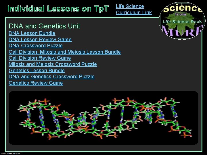 Individual Lessons on Tp. T Life Science Curriculum Link DNA and Genetics Unit DNA