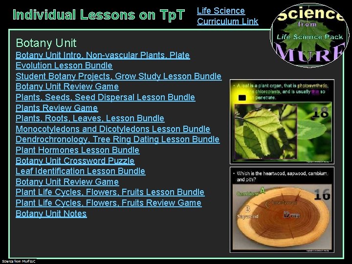 Individual Lessons on Tp. T Life Science Curriculum Link Botany Unit Intro, Non-vascular Plants,