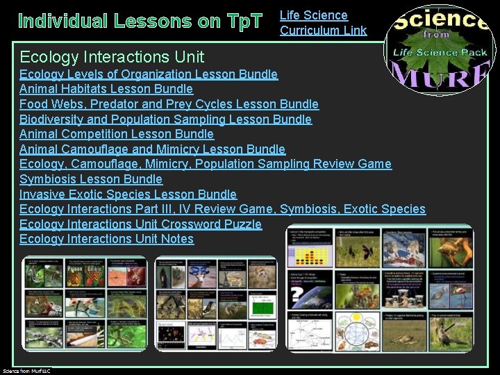 Individual Lessons on Tp. T Life Science Curriculum Link Ecology Interactions Unit Ecology Levels