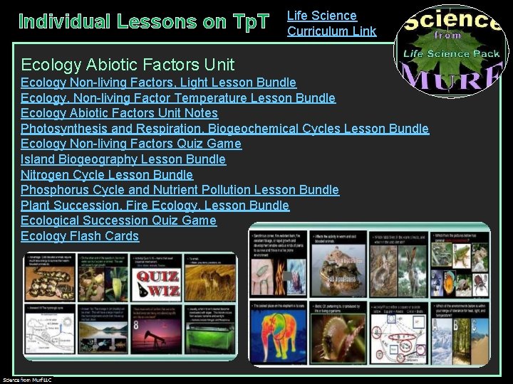 Individual Lessons on Tp. T Life Science Curriculum Link Ecology Abiotic Factors Unit Ecology
